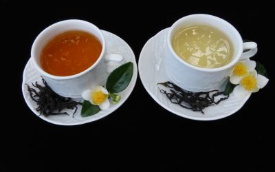 O té galego protagonizará cinco obradoiros en Etiqueta Negra